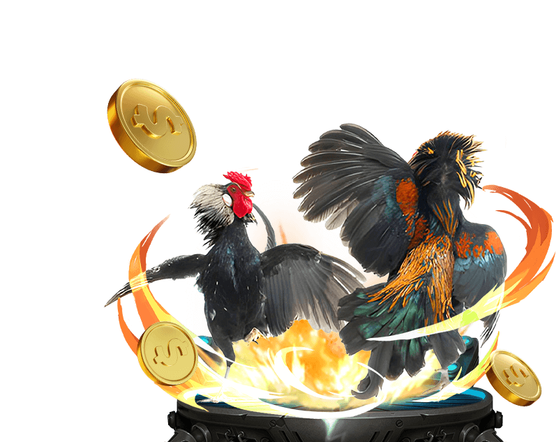 Đá Gà trực tiếp tại hi8823